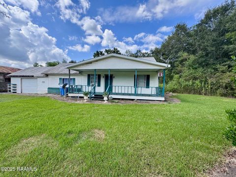 Photo of 959 Chitimacha Trail, Baldwin, LA 70514 (MLS # 2500004442)
