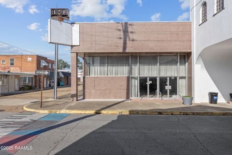 Photo of 103 E Bellevue Street, Opelousas, LA 70570 (MLS # 2500006057)