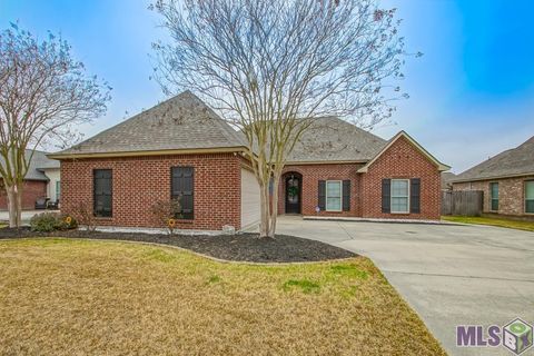 Photo of 40444 Thomas Ave Ave, Prairieville, LA 70769 (MLS # BR2026002754)