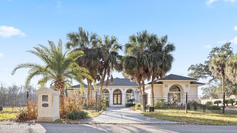 Photo of 6121 Homer Road, Maurice, LA 70555 (MLS # 2500007080)