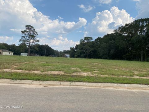 Photo of 107 Birch Hill Drive, Lafayette, LA 70508 (MLS # 2600003738)
