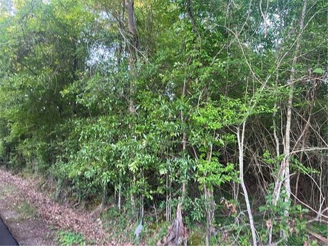 Photo of Faith Mission Baptist Road, Marksville, LA 71351 (MLS # CN2552128)