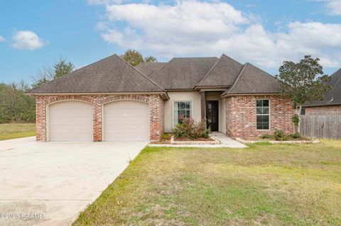 Photo of 331 Camus Road, Lafayette, LA 70503 (MLS # 2500006382)