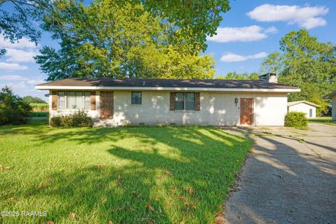 Photo of 7516 Loreauville Road, New Iberia, LA 70563 (MLS # 2500004176)