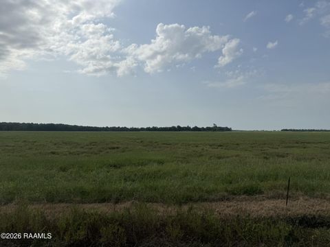 Photo of Tbd Whiteville Rd- Tract 10 Road, Ville Platte, LA 70586 (MLS # 2600006744)