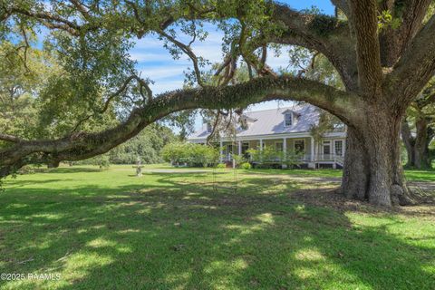 Photo of 8801 E Old Spanish Trail, Jeanerette, LA 70544 (MLS # 2500002845)
