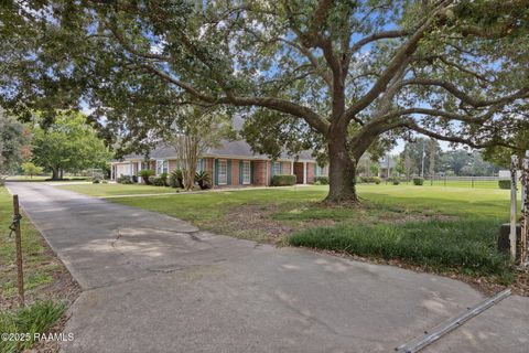 Photo of 660 Picard Road, Lafayette, LA 70508 (MLS # 2500002989)