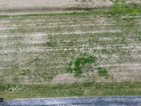 Photo of 11058 Cessna St St, Gonzales, LA 70737 (MLS # BR2026004518)