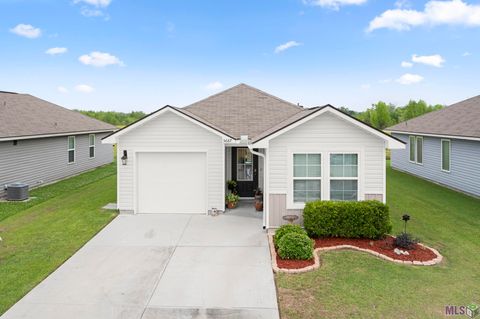 Photo of 5687 Magnolia De Percy Dr, Carville, LA 70721 (MLS # BR2026006661)