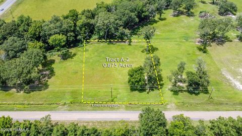 Photo of Tbd J E Pelton Road #A-2, Branch, LA 70516 (MLS # 2500000532)