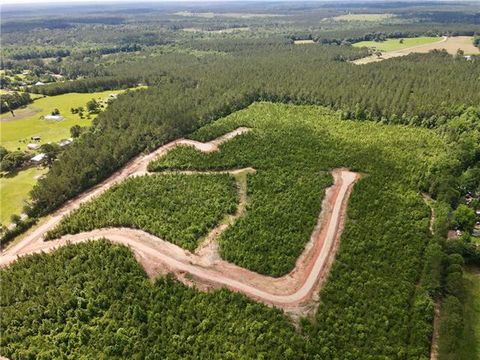 Photo of Parcel 4 436 Highway, Franklinton, LA 70438 (MLS # NO2560513)