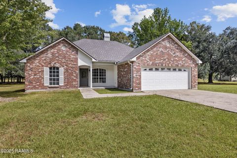 Photo of 1137 Earline Drive, Breaux Bridge, LA 70517 (MLS # 2500003519)