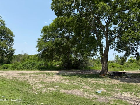 Photo of 295 Jim Guillory Road, Opelousas, LA 70570 (MLS # 2500000264)