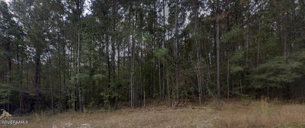 1 SOILEAU DR, MANY, LA 71449 - Image 8d1b4a967185ef3514b0cb2d17ee644e/2491396207