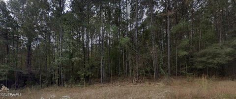 Photo of 0001 Soileau Drive, Many, LA 71449 (MLS # 2600004281)