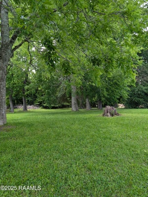103 THORNHILL CIR, LAFAYETTE, LA 70503 - Image 8d942e6b043ce822db2af42e75fe0b95/4103919952