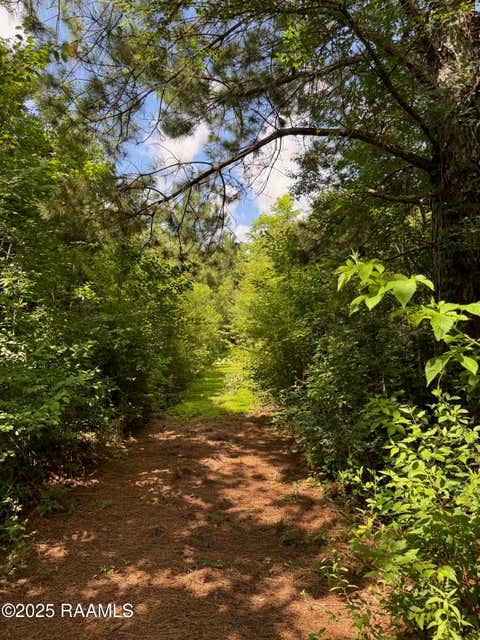 Photo of Tbd Lot 3 Frozard Road #3, Arnaudville, LA 70512 (MLS # 2600007596)