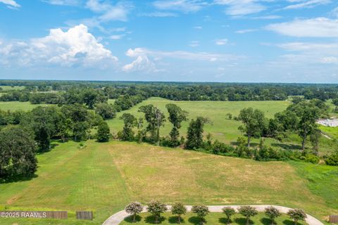 Photo of 102 Leatherback Lane, Broussard, LA 70518 (MLS # 2020023776)