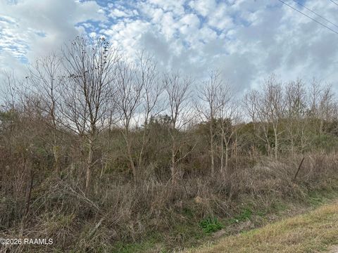 Photo of Bourque Road, Gueydan, LA 70542 (MLS # 2500006854)