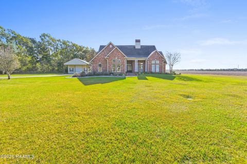Photo of 10219 Jefferson Island Road, New Iberia, LA 70560 (MLS # 2500005681)