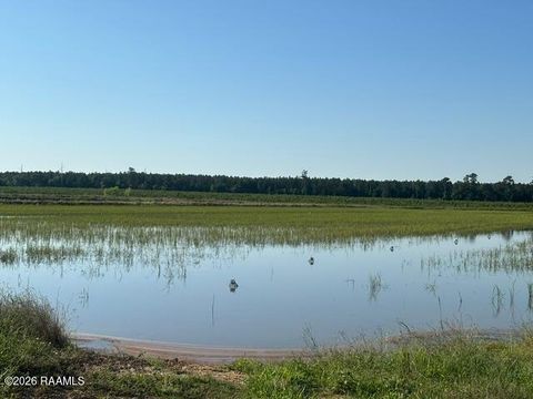 Photo of La Hwy 104, Oberlin, LA 70655 (MLS # 2600004263)