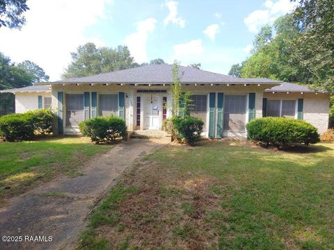Photo of 4000 Dalbor Street, Jeanerette, LA 70544 (MLS # 2500004271)