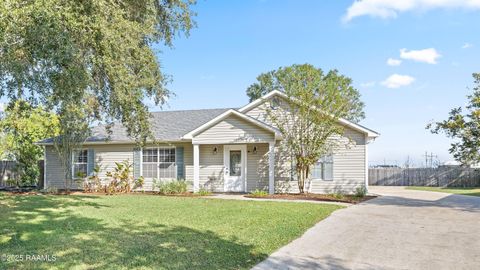 Photo of 1508 Parkwood Drive, New Iberia, LA 70560 (MLS # 2500005724)