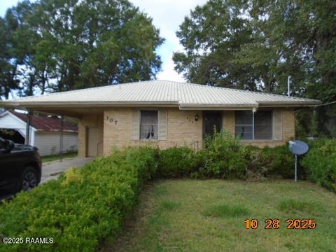 Photo of 307 N Theater Street, St. Martinville, LA 70582 (MLS # 2500005063) Photo of 307 N Theater Street, St. Martinville, LA 70582 (MLS # 2500005063)