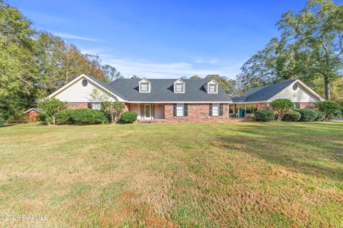 Photo of 309 Robert Dailey Road, Sunset, LA 70584 (MLS # 2500006646)