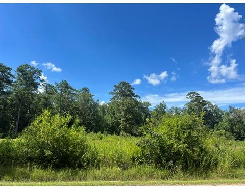 Photo of 0 Max Mercer Road, Pearl River, LA 70452 (MLS # NO2569465)