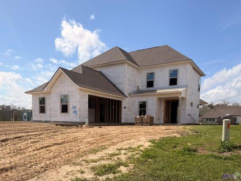 Photo of 21457 Bluefin Dr Dr, Springfield, LA 70462 (MLS # BR2025022253)