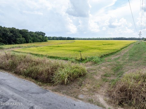 Photo of Tbd Leger Road, Crowley, LA 70526 (MLS # 2600006426)