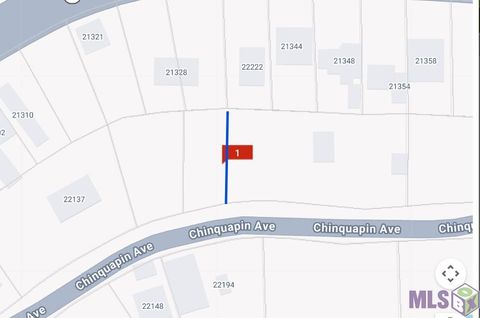 Photo of 22222 Chinquapin Ave Ave, Maurepas, LA 70449 (MLS # BR2026003038)
