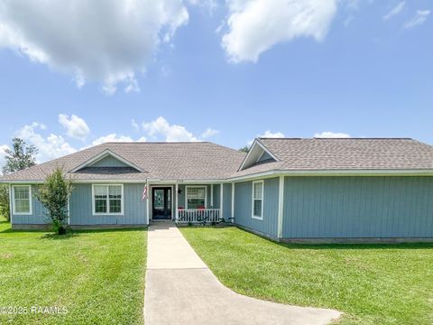 Photo of 248 Faulk Lane, Lake Charles, LA 70607 (MLS # 2500004501)