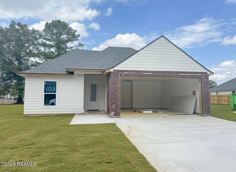 Photo of 103 Berchman Oaks Drive, Lafayette, LA 70506 (MLS # 2500006010)