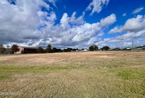 Photo of 539 Sabbath Road, Youngsville, LA 70592 (MLS # 2500005645)
