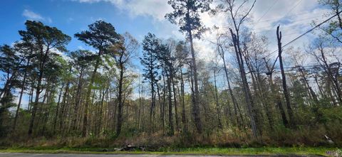 Photo of Tract A-4 Reinninger Rd, Denham Springs, LA 70706 (MLS # BR2026004099)