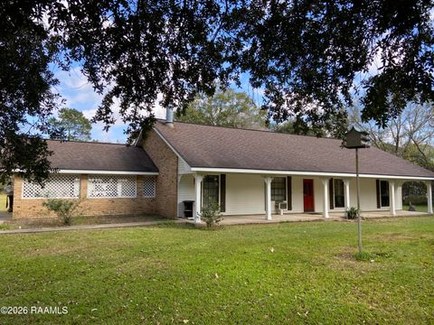 Photo of 9517 E Admiral Doyle Drive, Jeanerette, LA 70544 (MLS # 2500006729)