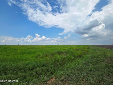 Photo of 23823 Juniper Road, Kaplan, LA 70548 (MLS # 2500003669)