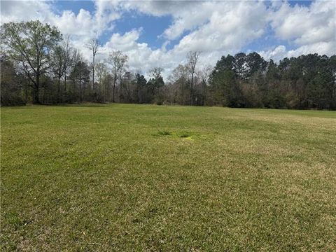 Photo of TBD Palmisano Drive, Hammond, LA 70403 (MLS # NO2545503)