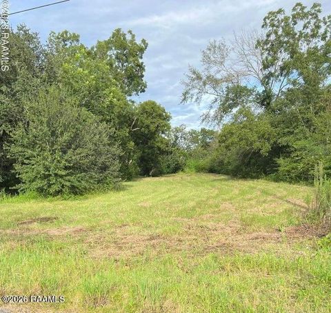 Photo of 600 Hog Alley, Rayne, LA 70578 (MLS # 2600003893)