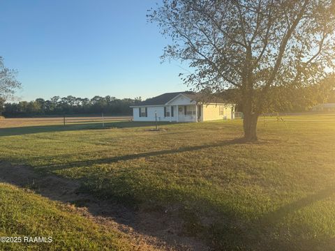 Photo of 7309 Hwy 71, Washington, LA 70589 (MLS # 2500004943) Photo of 7309 Hwy 71, Washington, LA 70589 (MLS # 2500004943)