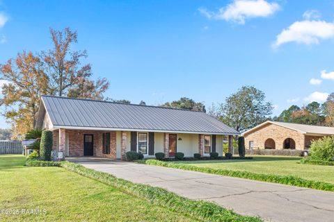 Photo of 215 Celeste Street, Abbeville, LA 70510 (MLS # 2500006464)