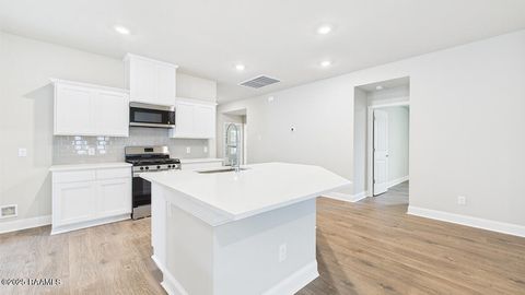 Photo of 202 Cypress Falls Drive, Broussard, LA 70518 (MLS # 2500005818)