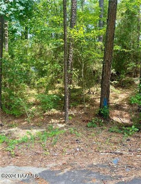 Photo of 110 Seneca Court, Pineville, LA 71360 (MLS # 24007479)