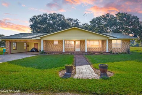 Photo of 1596 Bosco Highway, Church Point, LA 70525 (MLS # 2500003422)