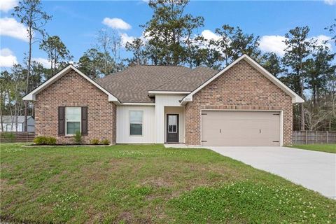 Photo of 28051 Blue Sky Drive Dr, Ponchatoula, LA 70454 (MLS # NO2547575)