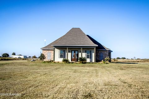 Photo of 2141 Mcgee Road, Ville Platte, LA 70586 (MLS # 2500005822)
