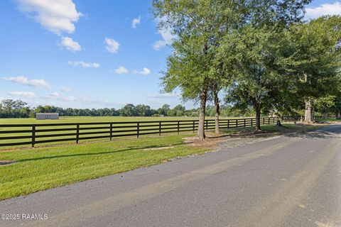 Photo of Tbd Miller Road, Opelousas, LA 70570 (MLS # 2500002597)