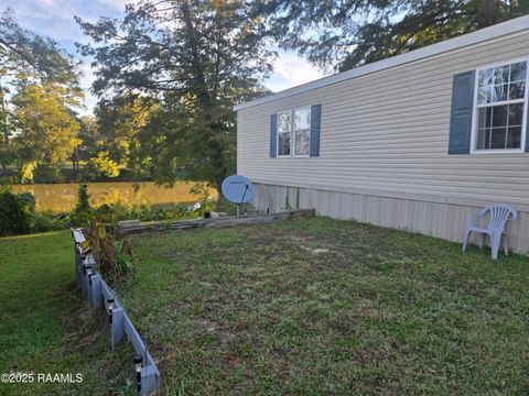 Photo of 375 Bayou Road, Port Barre, LA 70577 (MLS # 2500004828)